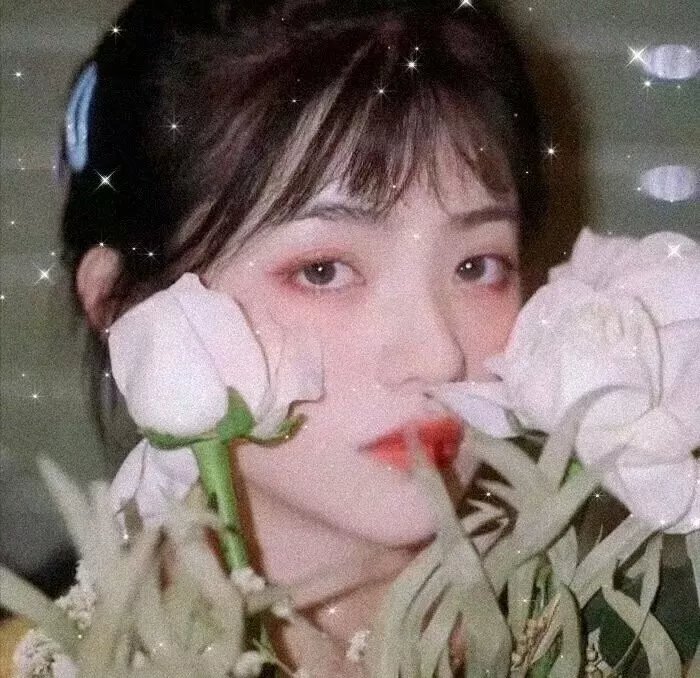 小鱼